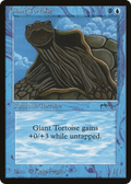 Giant Tortoise (ARN-015) - Arabian Nights