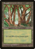 Forest (APAC-) - Asia Pacific Land Program
