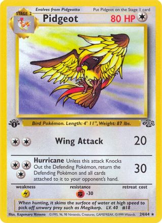 Pidgeot 024/64 - Jungle 1st Edition