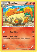 Rapidash 017/114 - XY  Steam Siege