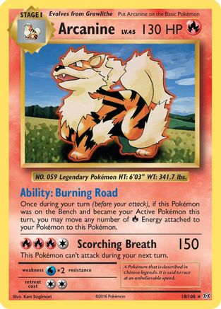 Arcanine 018/108 - XY  Evolutions