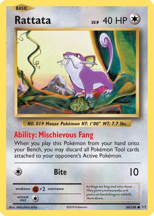 Rattata 066/108 - XY  Evolutions Reverse Holofoil