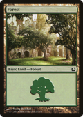 Forest (RTR-271) - Return to Ravnica Foil