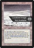 Tundra (FBB-) - Foreign Black Border