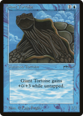 Giant Tortoise (ARN-) - Arabian Nights
