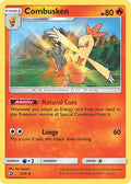 Combusken 005/70 - Dragon Majesty Reverse Holofoil