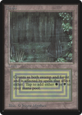 Bayou (LEB-) - Limited Edition Beta