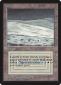 Tundra (LEB-285) - Limited Edition Beta