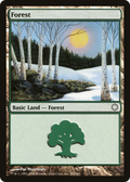 Forest (CTD-382) - Coldsnap Theme Decks