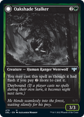 Oakshade Stalker // Moonlit Ambusher (DBL-479) - Innistrad: Double Feature: (Double Faced Transform) Foil