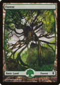 Forest (ZEN-249) - Zendikar Foil