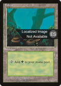 Forest (4BB-177) - Fourth Edition Foreign Black Border