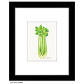 Celery, Print (#8479D)