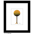 Seasons (08), Print (#7481A)