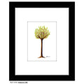 Seasons (08), Print (#7479A)