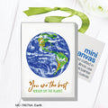 Earth, Mini Canvas (MC-7867NA)
