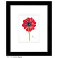 Anemone Magenta, Print (#7149A)