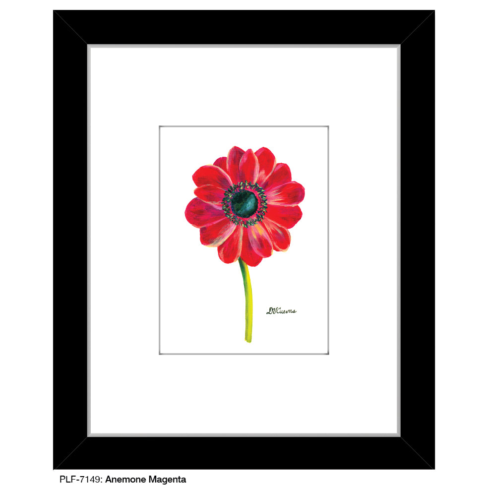 Anemone Magenta, Print (#7149A)
