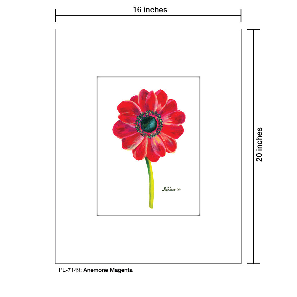 Anemone Magenta, Print (#7149A)