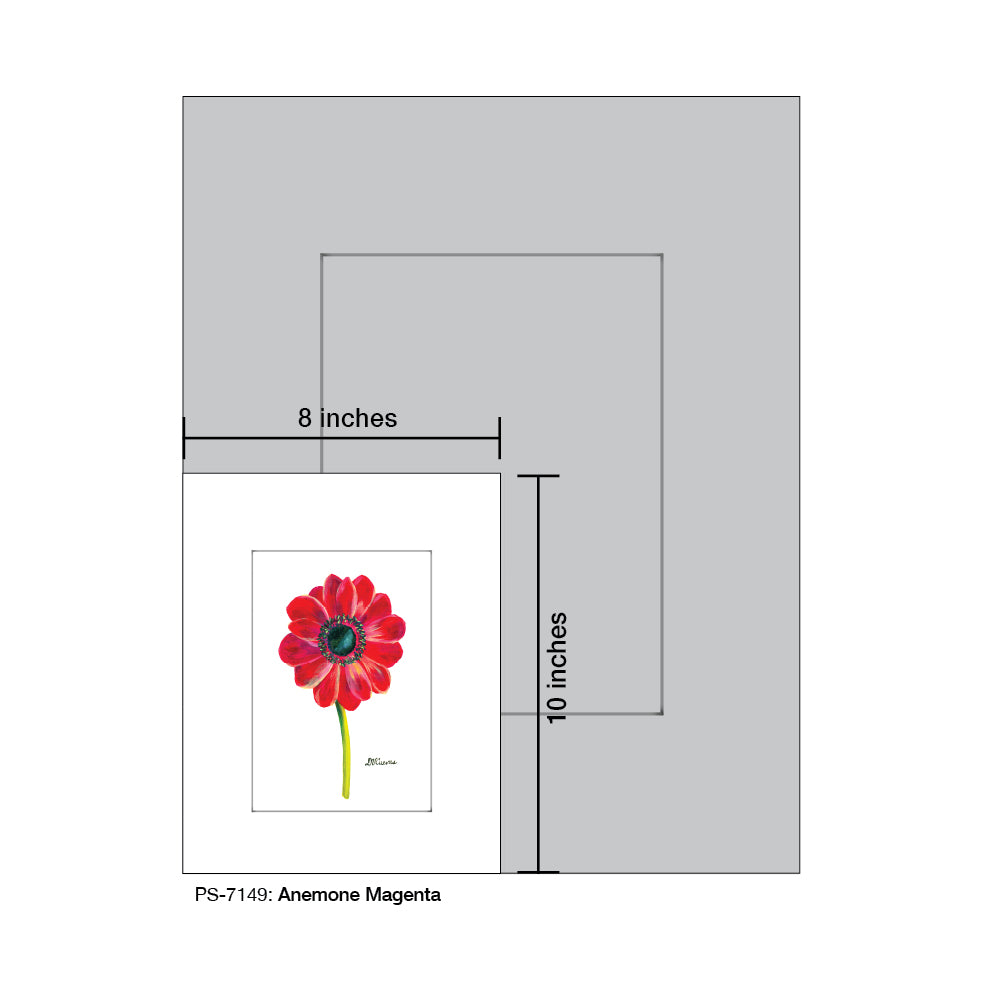 Anemone Magenta, Print (#7149A)
