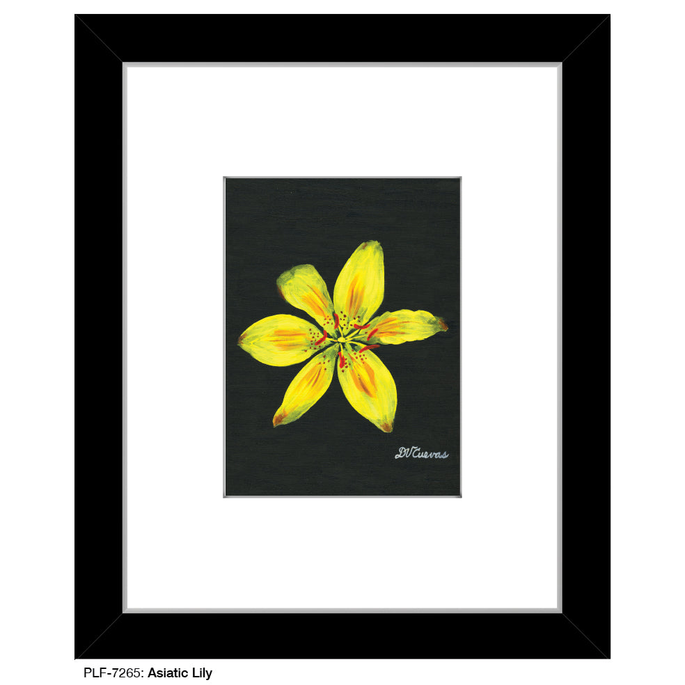 Asiatic Lily, Print (#7265A)