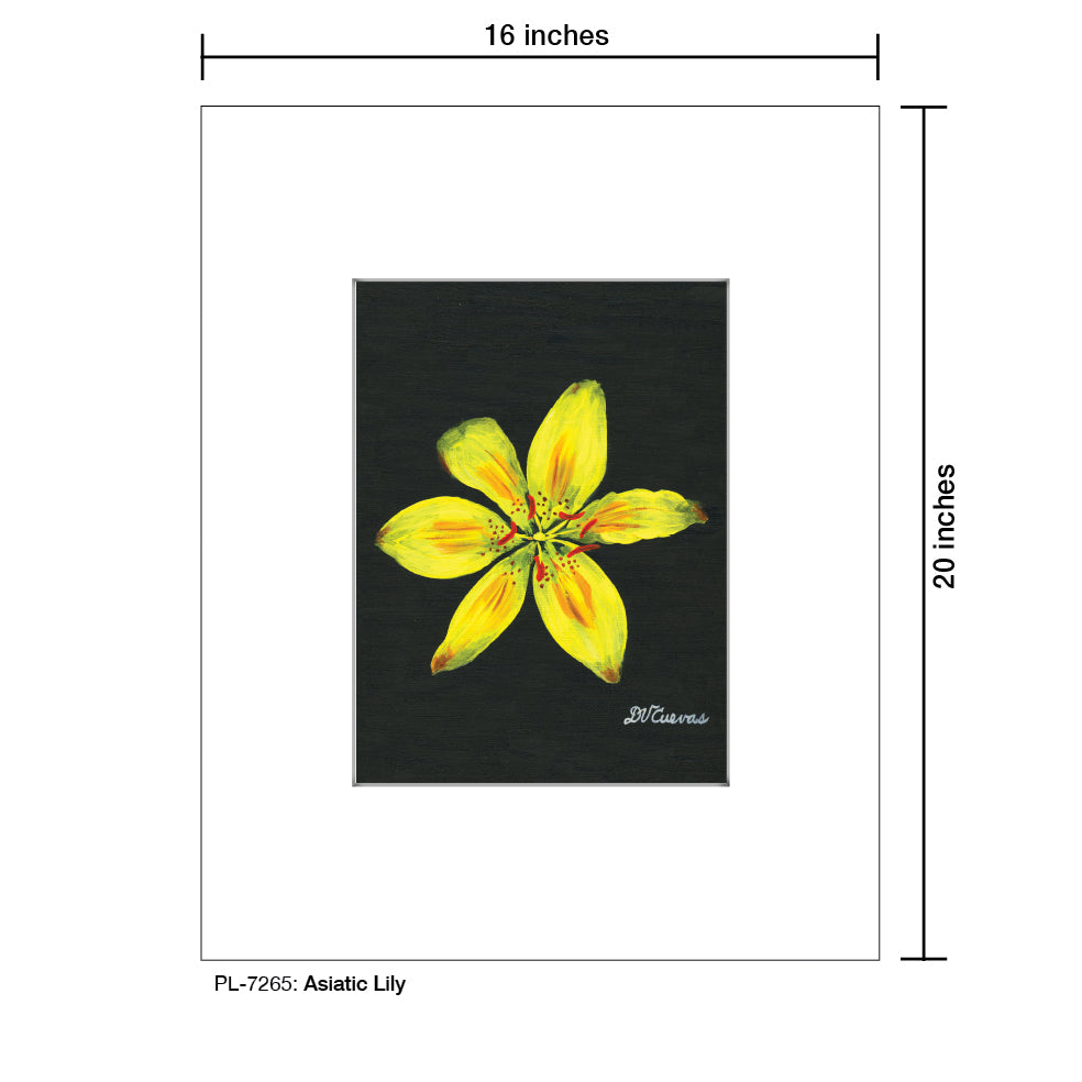 Asiatic Lily, Print (#7265A)