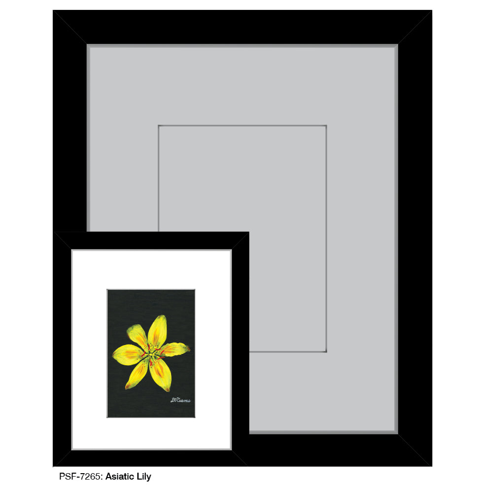 Asiatic Lily, Print (#7265A)