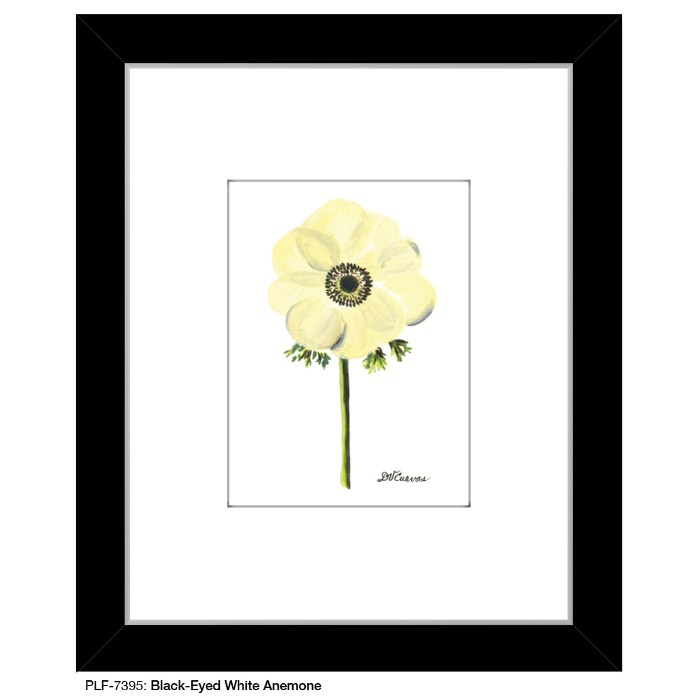 Black-Eyed White Anemone, Print (#7395D)