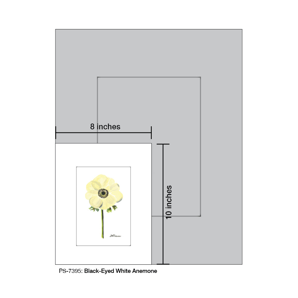 Black-Eyed White Anemone, Print (#7395D)