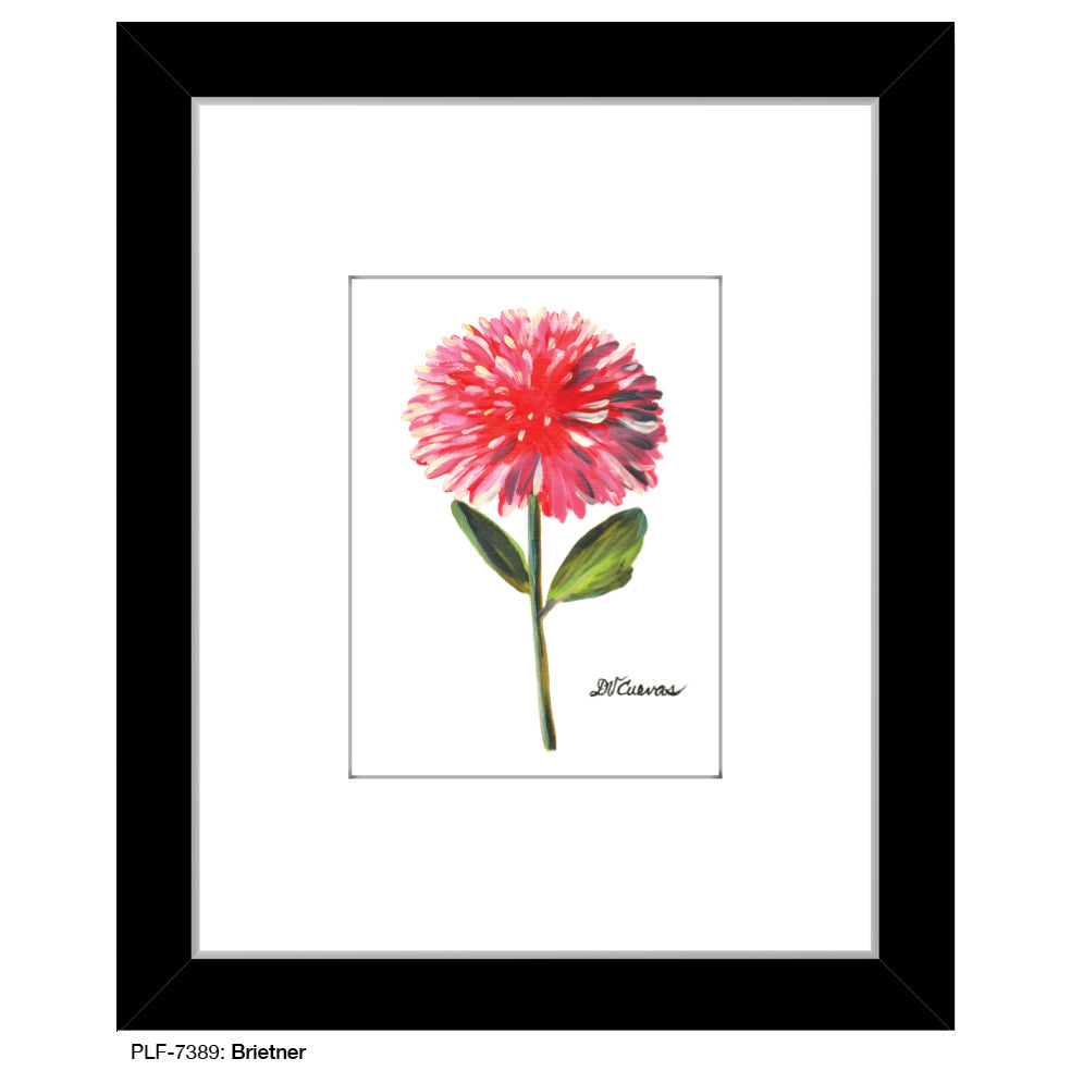 Brietner, Print (#7389A)