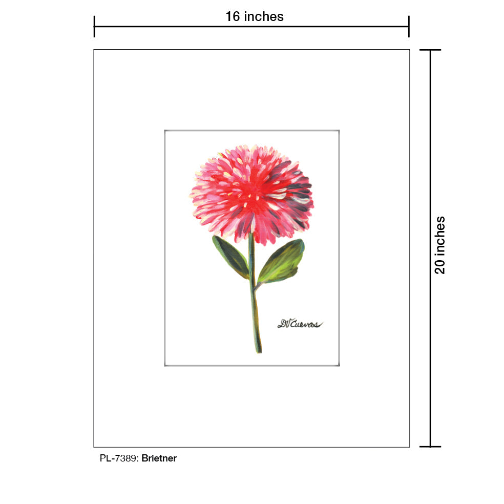 Brietner, Print (#7389A)
