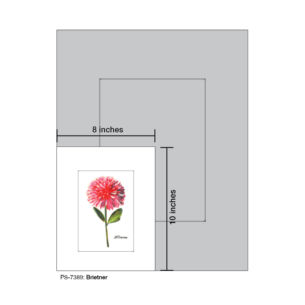 Brietner, Print (#7389A)