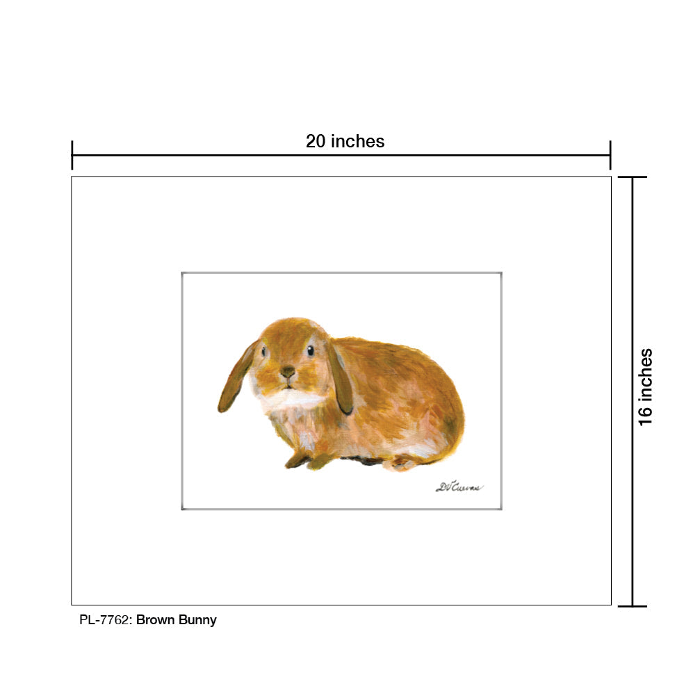 Brown Bunny, Print (#7762A)