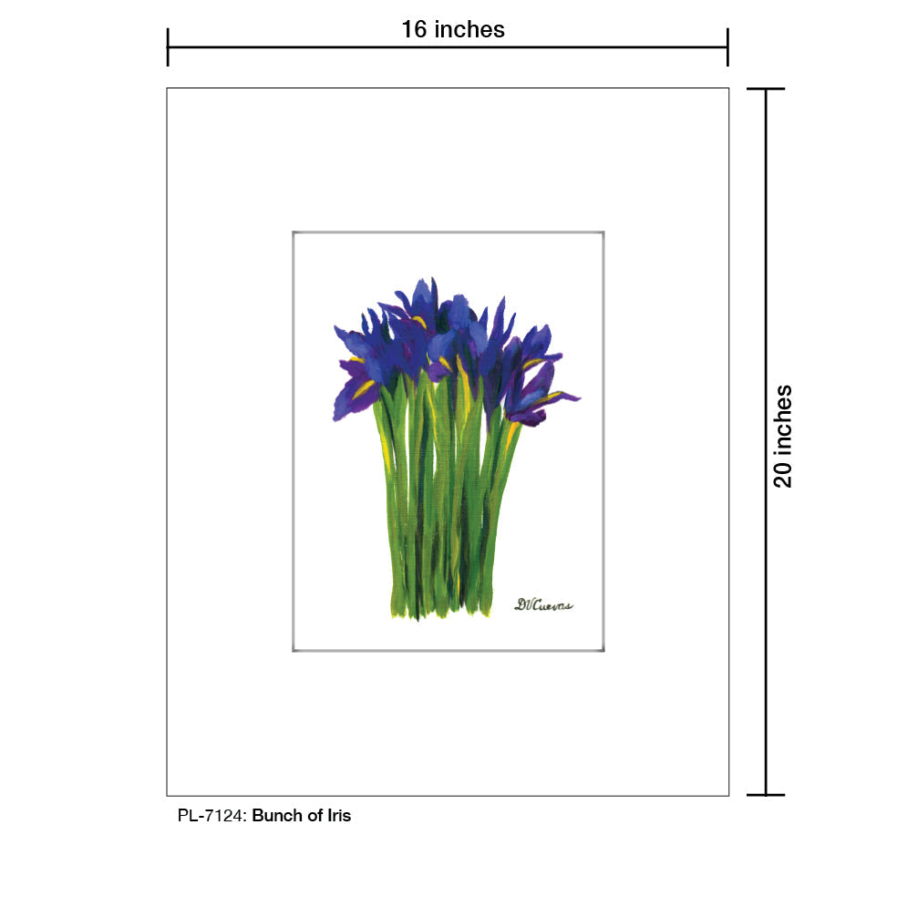 Bunch of Iris, Print (#7124A)