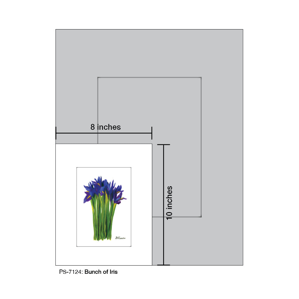 Bunch of Iris, Print (#7124A)