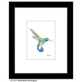 Broad-Billed Hummingbird, Print (#8225G)