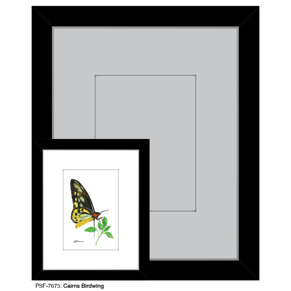Cairns Birdwing, Print (#7675E)