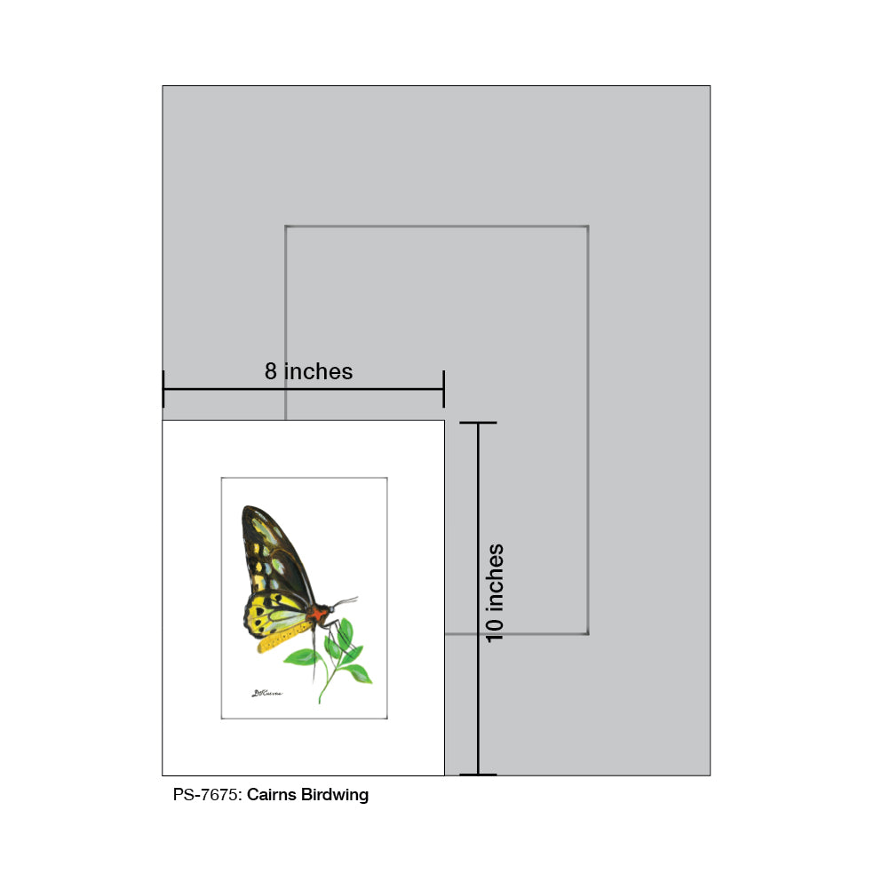 Cairns Birdwing, Print (#7675E)