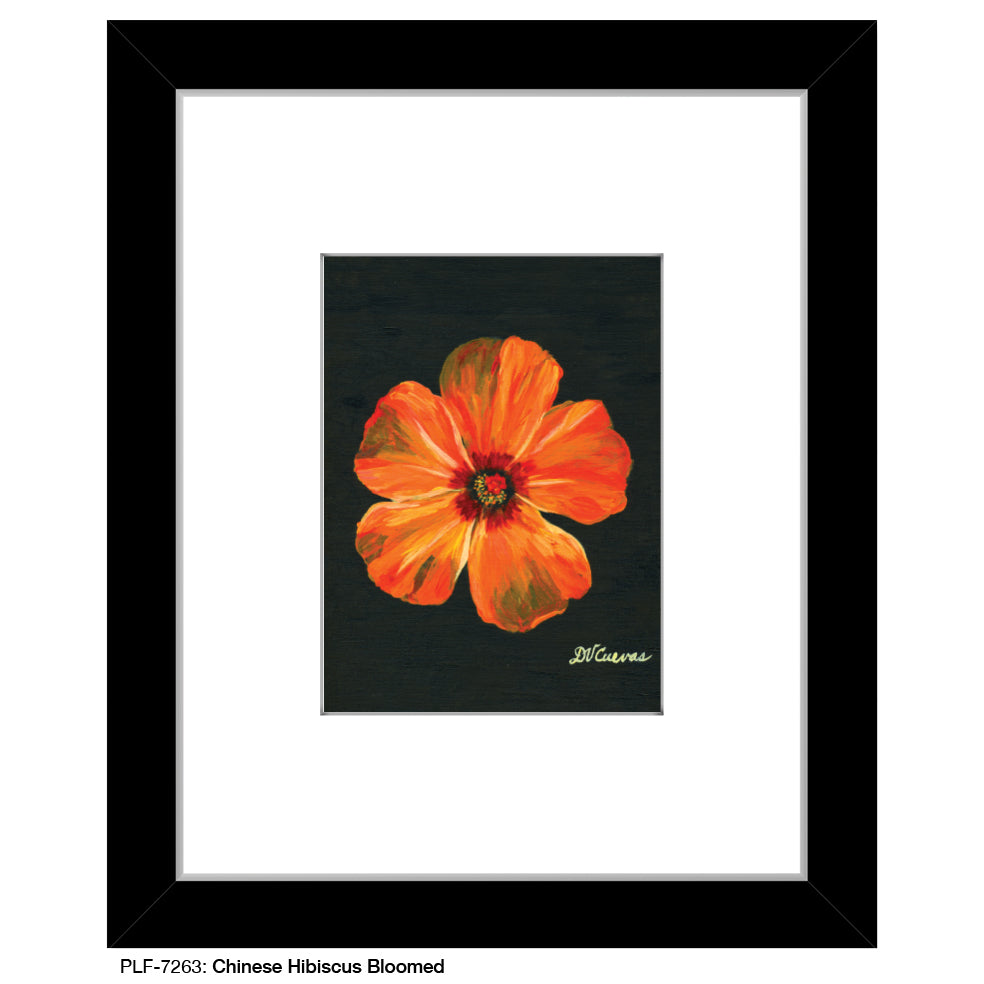 Chinese Hibiscus Bloomed, Print (#7263A)