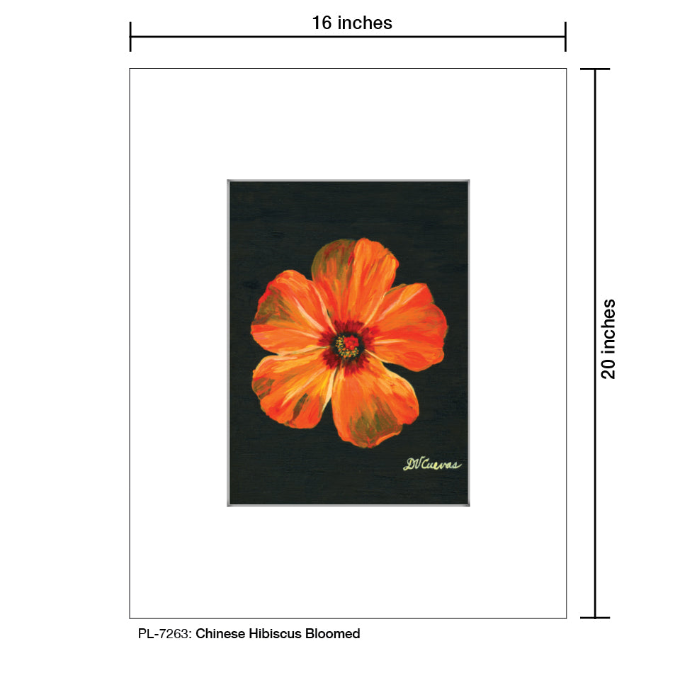 Chinese Hibiscus Bloomed, Print (#7263A)