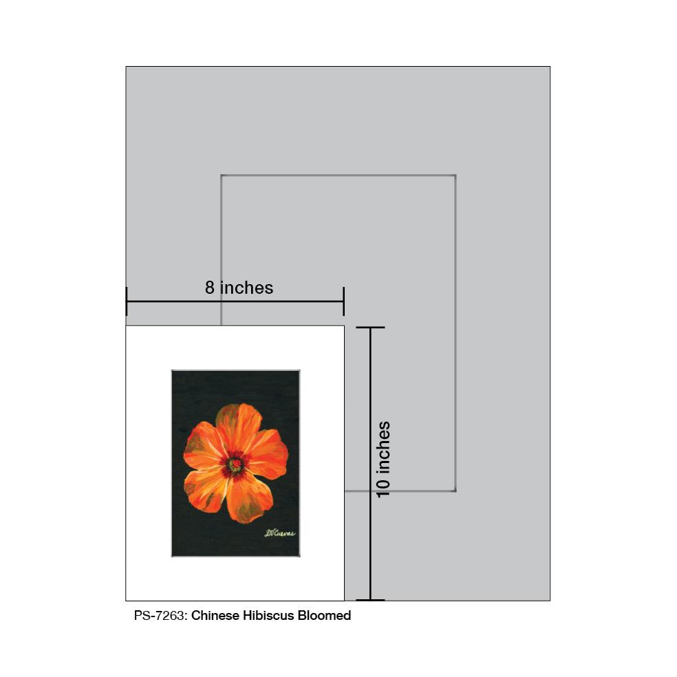 Chinese Hibiscus Bloomed, Print (#7263A)