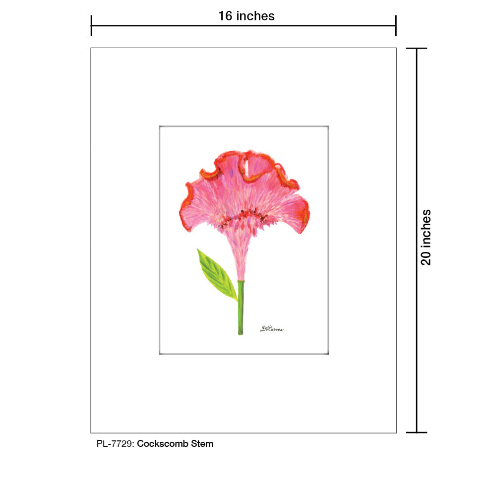 Cockscomb Stem, Print (#7729A)
