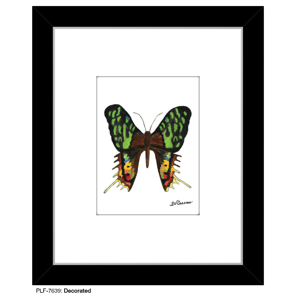 Decorated Butterfly, Print (#7639B)