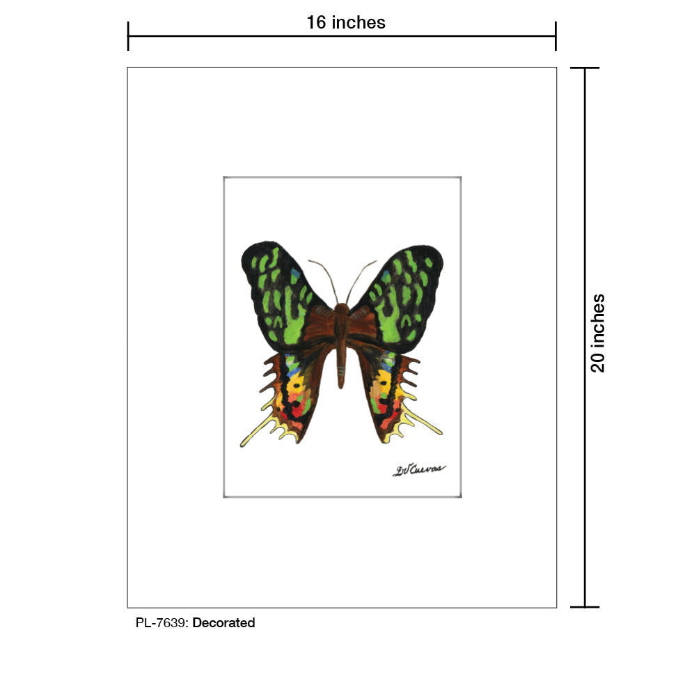 Decorated Butterfly, Print (#7639B)