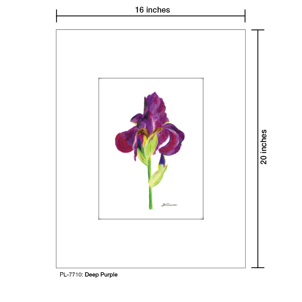 Deep Purple Iris, Print (#7710A)