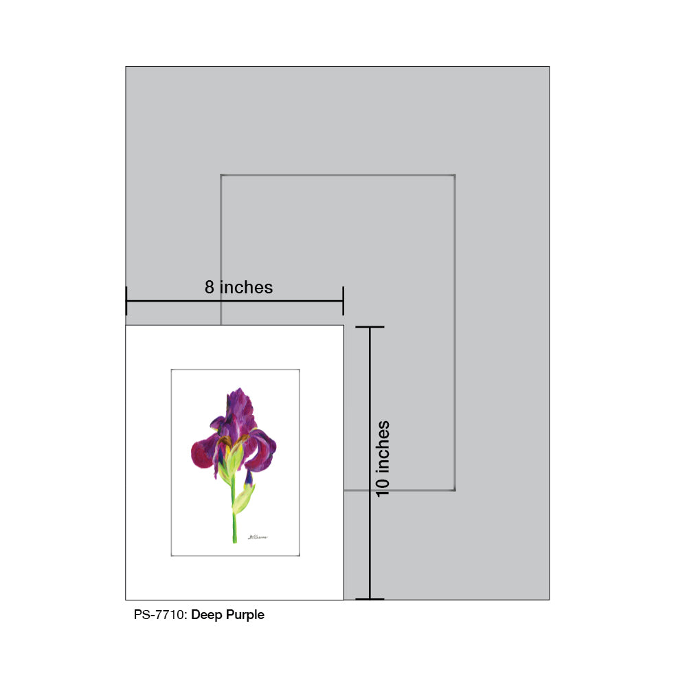 Deep Purple Iris, Print (#7710A)