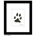 Dog Paw, Print (#8355G)