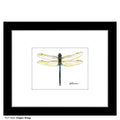 Dragon Wings, Print (#7620C)