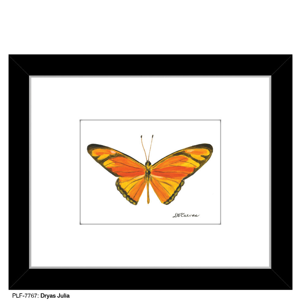 Dryas Julia Butterfly, Print (#7767B)