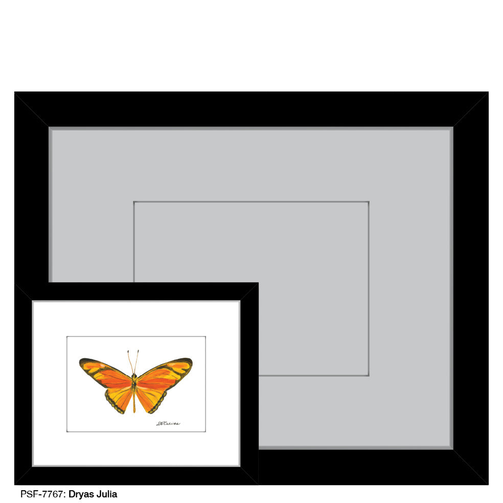 Dryas Julia Butterfly, Print (#7767B)